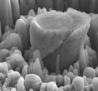 Image - Strong New Metal Nanocomposite Could Lead to Lighter Airplanes and Cars