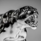 Image - Open Mind Technologies and Haimer Collaborate to Machine Sleek Aluminum Panther